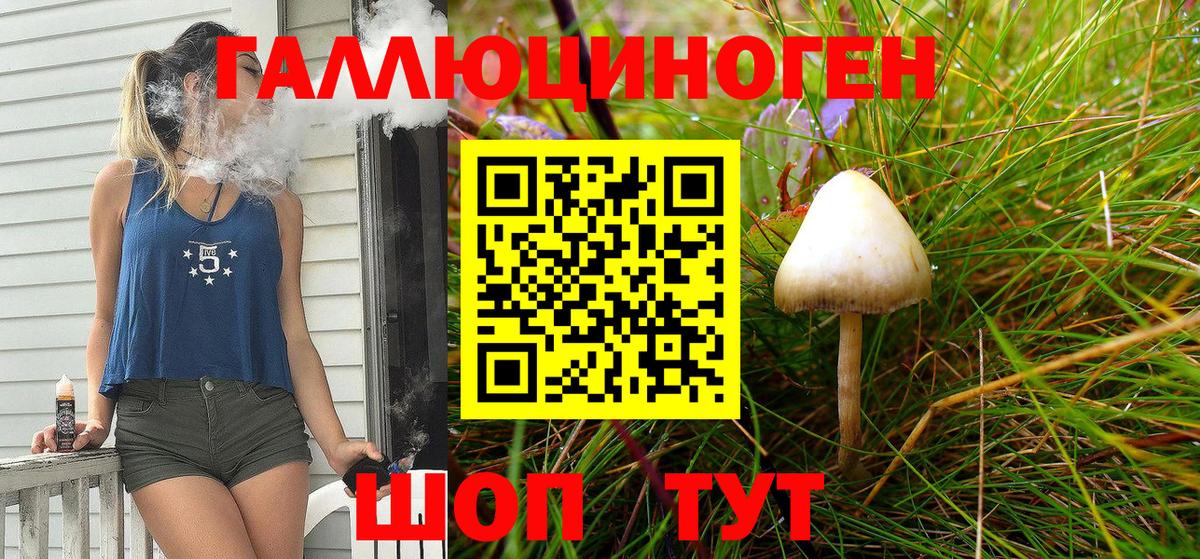 Псков  Псилоцибиновые грибы мицелий  Галлюциногенные грибы Psilocybe  Вход с VPN 